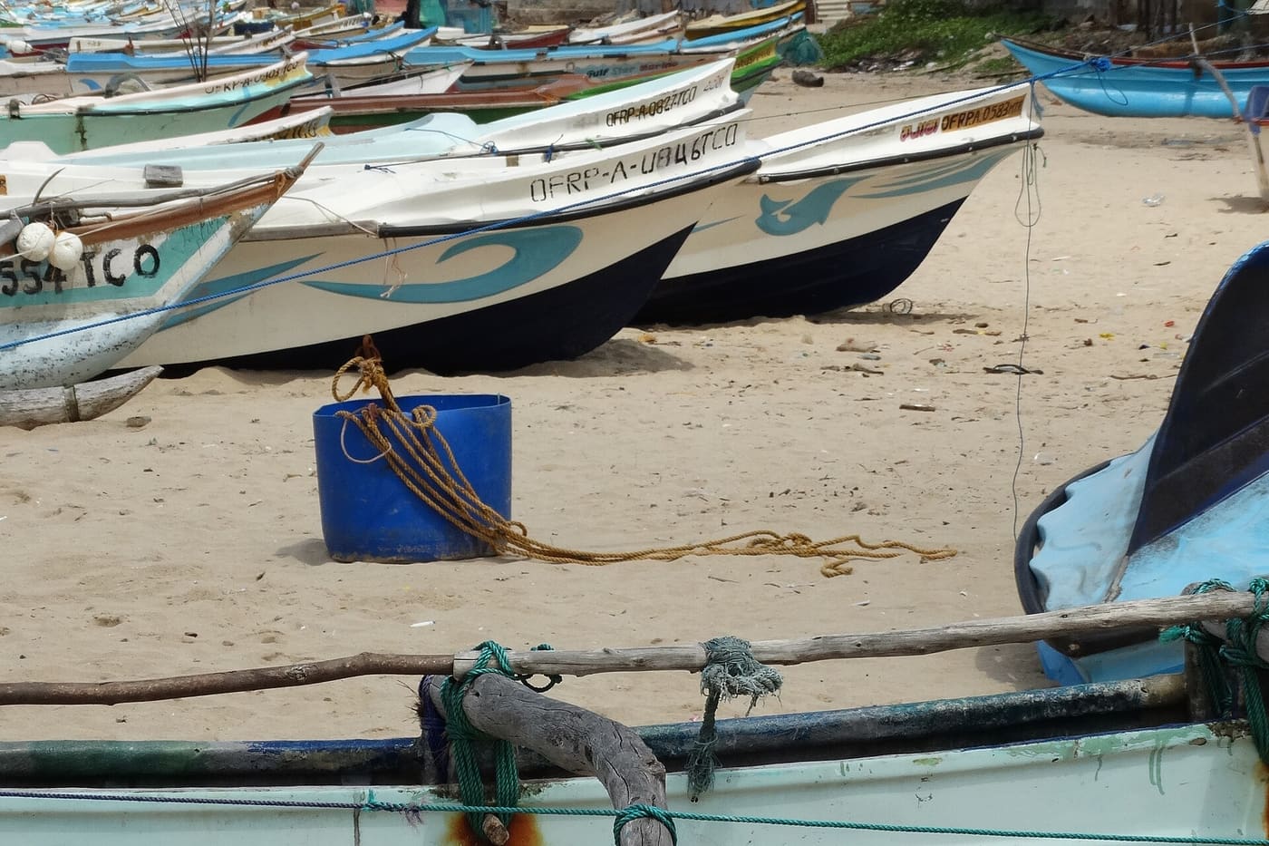 Badulla Island Cruise 8